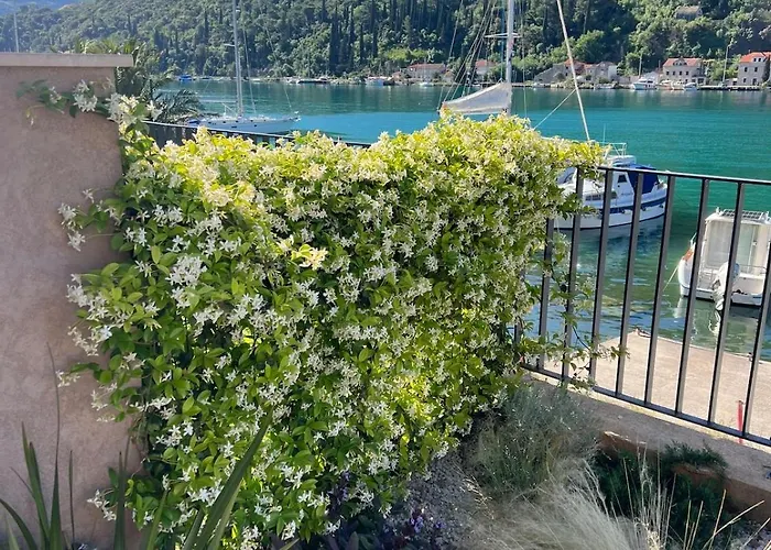 Ombla Waterfront Apartamento Nova Mokosica